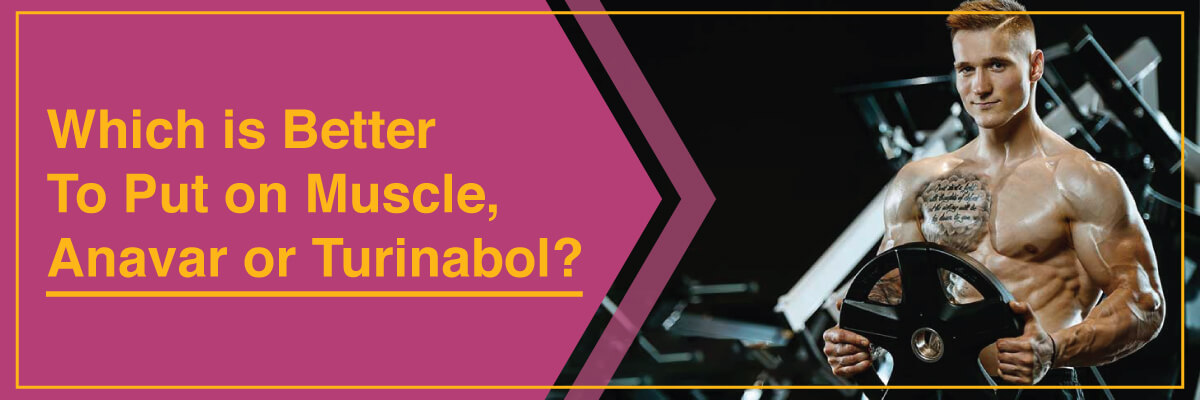 Which-Is-Better-To-Put-On-Muscle,-Anavar-Or-Turinabol