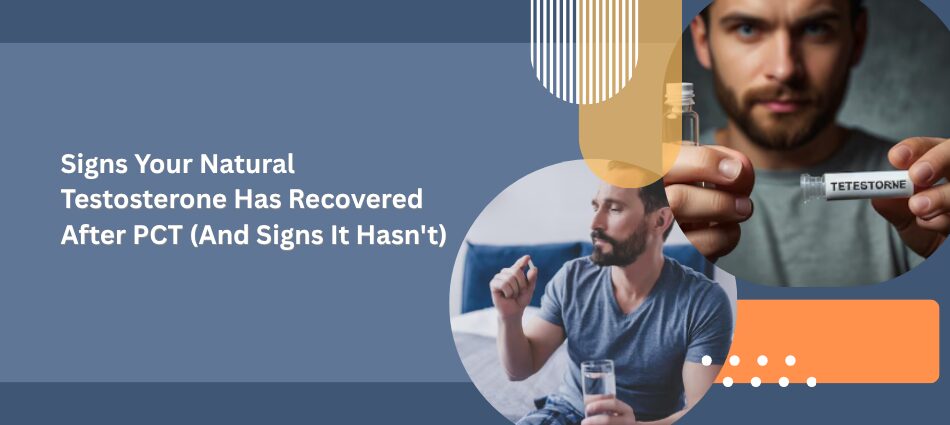 Signs Your Natural Testosterone Has Recovered After PCT And Signs It Hasnt - UK Steroids Store Banner about natural testosterone recovery after PCT; shows a man holding a TESTOSTERONE vial with another man seated nearby.