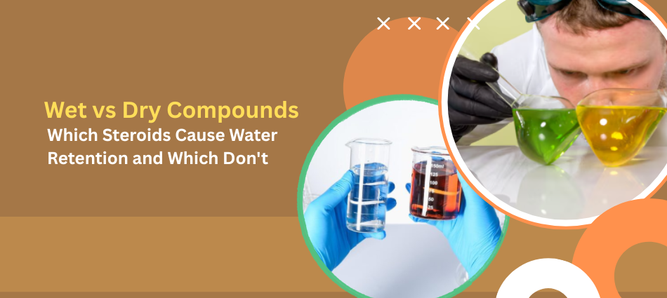 Wet vs Dry Compounds - UK Steroids Store Banner about wet vs dry compounds discussing water retention, featuring lab beakers and a researcher with colorful liquids.