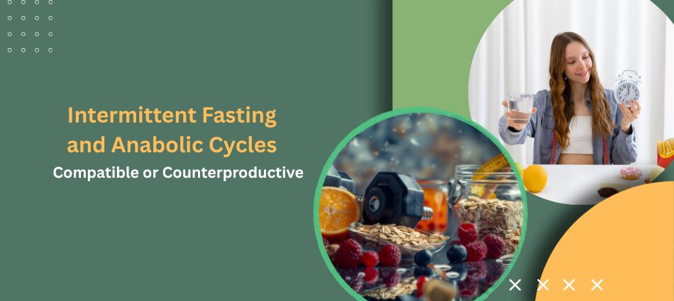 Intermittent Fasting and Anabolic Cycles - UK Steroids Store